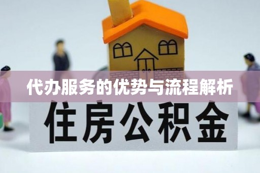 兰陵代办服务的优势与流程解析