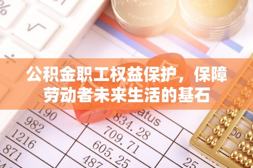 兰陵公积金职工权益保护，保障劳动者未来生活的基石