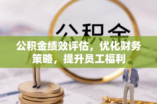 兰陵公积金绩效评估，优化财务策略，提升员工福利