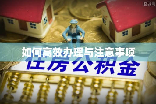 兰陵如何高效办理与注意事项