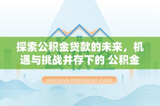 兰陵探索公积金贷款的未来，机遇与挑战并存下的 公积金贷款风险防控