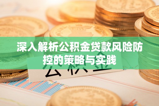 兰陵深入解析公积金贷款风险防控的策略与实践