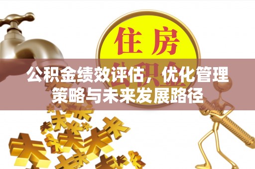 兰陵公积金绩效评估，优化管理策略与未来发展路径
