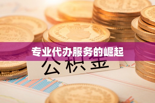 兰陵专业代办服务的崛起