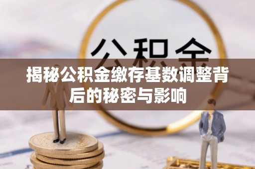 兰陵揭秘公积金缴存基数调整背后的秘密与影响