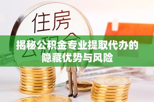 兰陵揭秘公积金专业提取代办的隐藏优势与风险