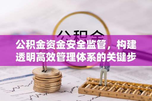 兰陵公积金资金安全监管，构建透明高效管理体系的关键步骤