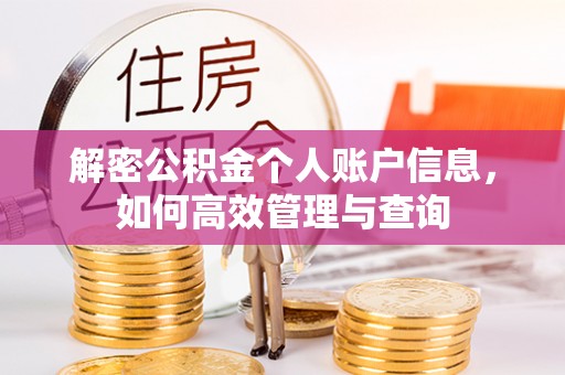 兰陵解密公积金个人账户信息，如何高效管理与查询