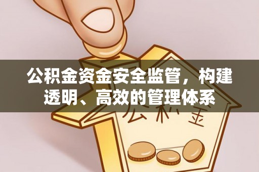 兰陵公积金资金安全监管，构建透明、高效的管理体系