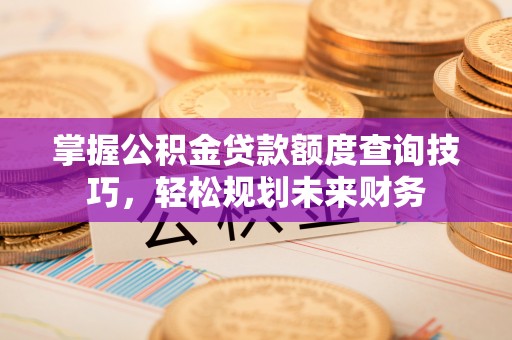 兰陵掌握公积金贷款额度查询技巧，轻松规划未来财务