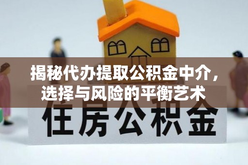 兰陵揭秘代办提取公积金中介，选择与风险的平衡艺术