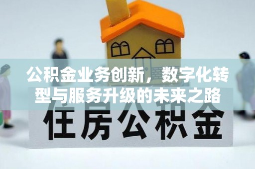兰陵公积金业务创新，数字化转型与服务升级的未来之路