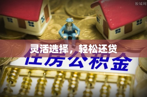 兰陵灵活选择，轻松还贷