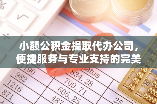 兰陵小额公积金提取代办公司，便捷服务与专业支持的完美结合