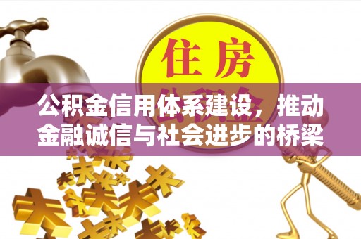 兰陵公积金信用体系建设，推动金融诚信与社会进步的桥梁