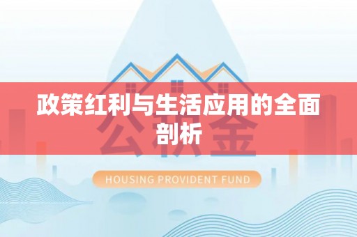 兰陵政策红利与生活应用的全面剖析