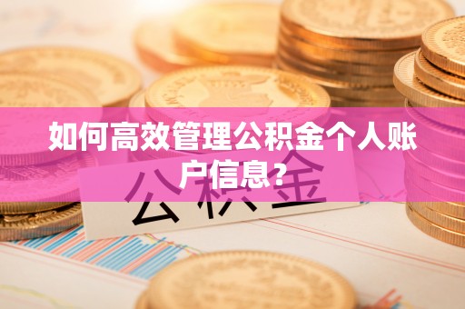兰陵如何高效管理公积金个人账户信息？