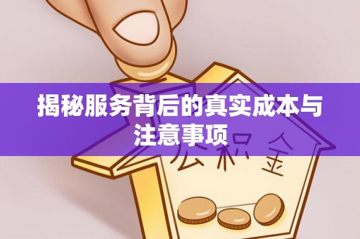 兰陵揭秘服务背后的真实成本与注意事项
