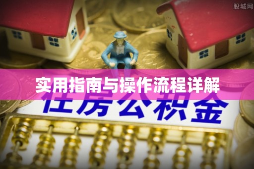 兰陵实用指南与操作流程详解