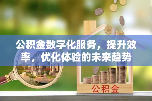 兰陵公积金数字化服务，提升效率，优化体验的未来趋势