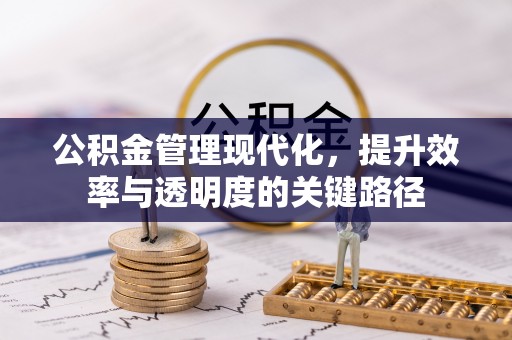 兰陵公积金管理现代化，提升效率与透明度的关键路径