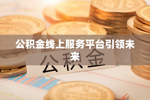 兰陵公积金线上服务平台引领未来