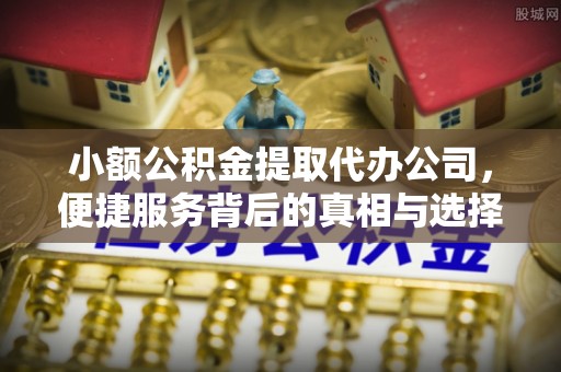兰陵小额公积金提取代办公司，便捷服务背后的真相与选择
