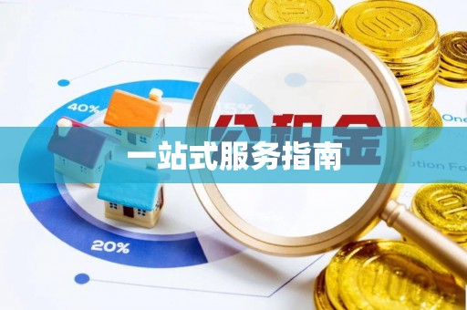 兰陵一站式服务指南