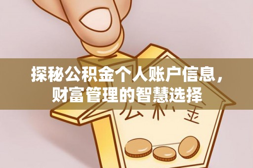 兰陵探秘公积金个人账户信息，财富管理的智慧选择