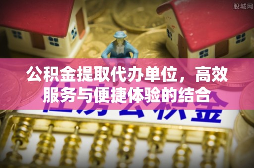 兰陵公积金提取代办单位，高效服务与便捷体验的结合