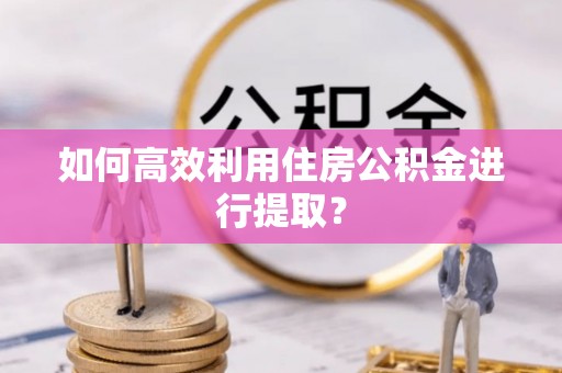 兰陵如何高效利用住房公积金进行提取？