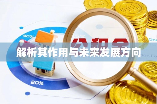 兰陵解析其作用与未来发展方向