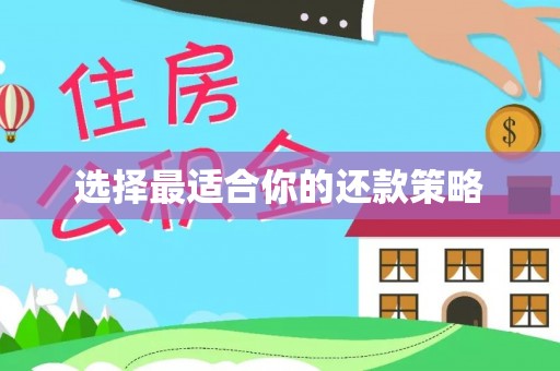 兰陵选择最适合你的还款策略