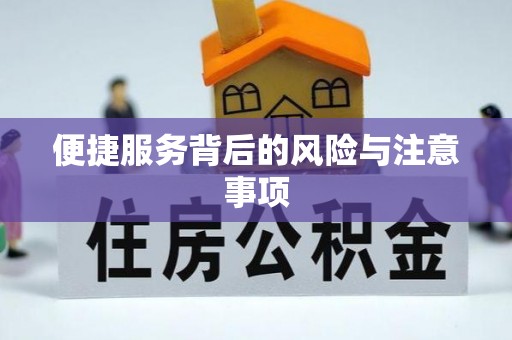 兰陵便捷服务背后的风险与注意事项